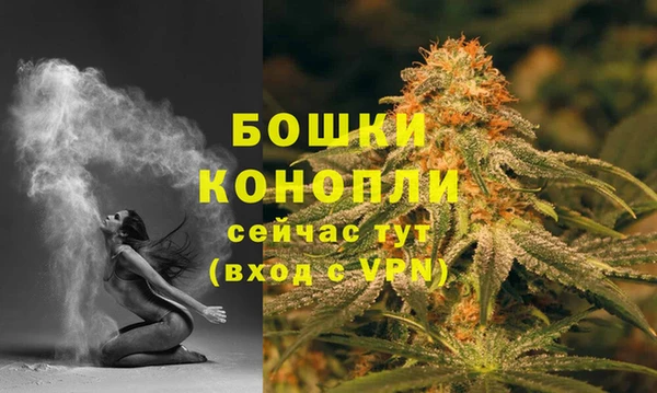ПСИЛОЦИБИНОВЫЕ ГРИБЫ Баксан