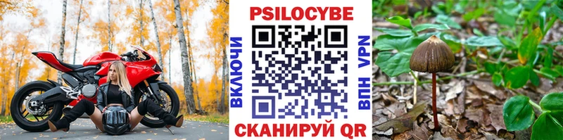 Галлюциногенные грибы мухоморы  Верея 